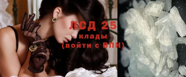 сатива Краснослободск