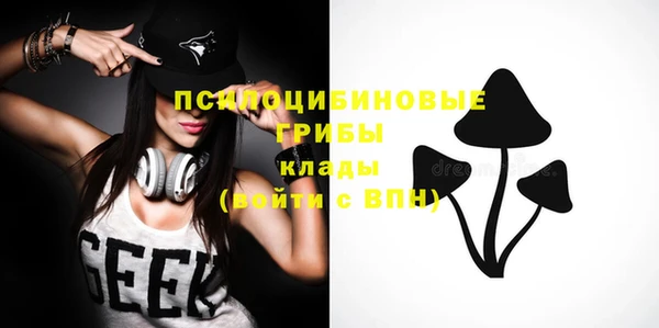 гашик Абинск
