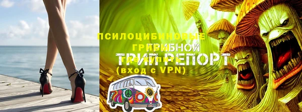 каннабис Абаза