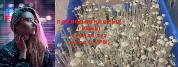 гашик Абинск